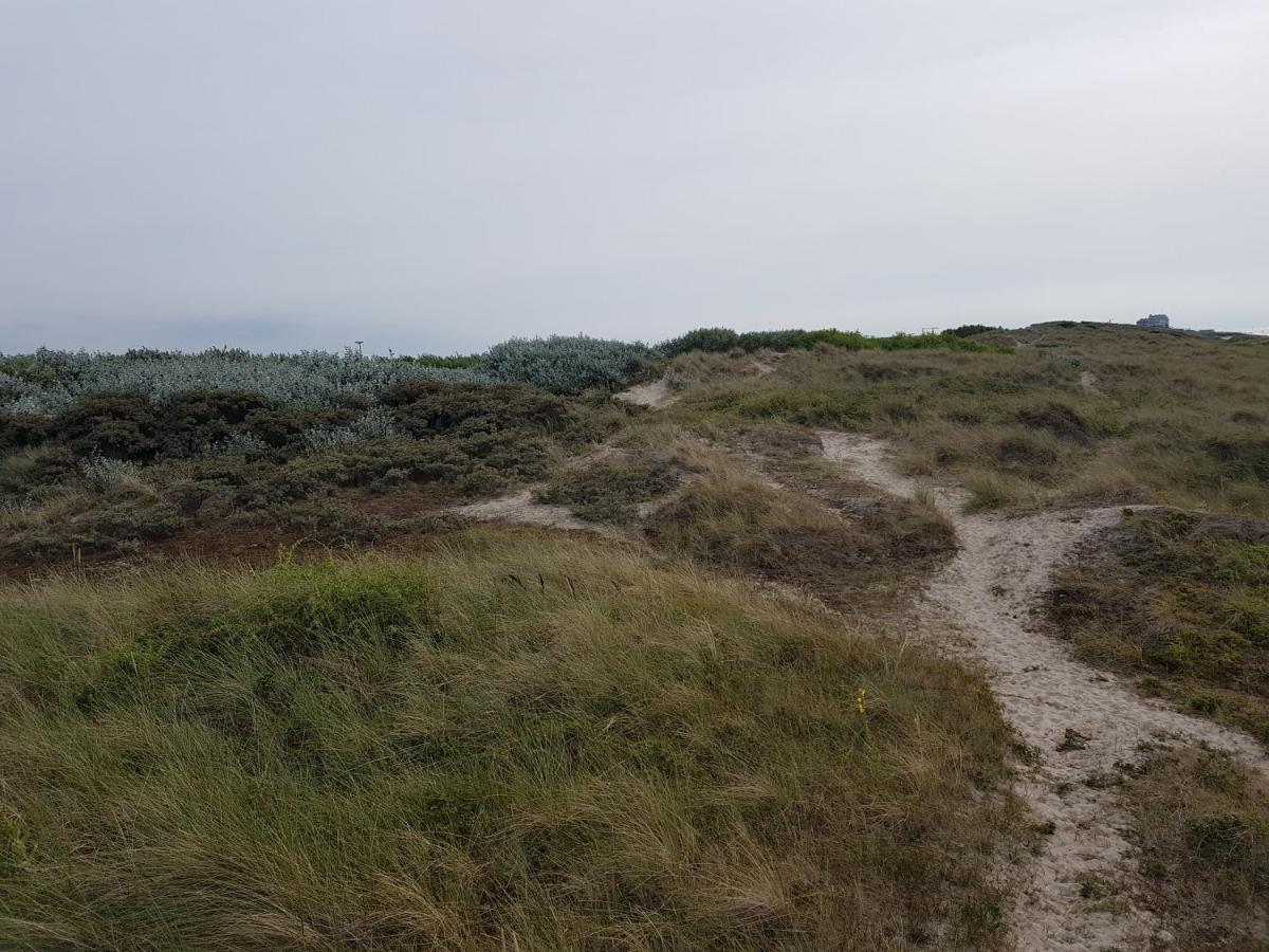 Seacottage Blankenberge - Wenduine De Haan Exterior foto