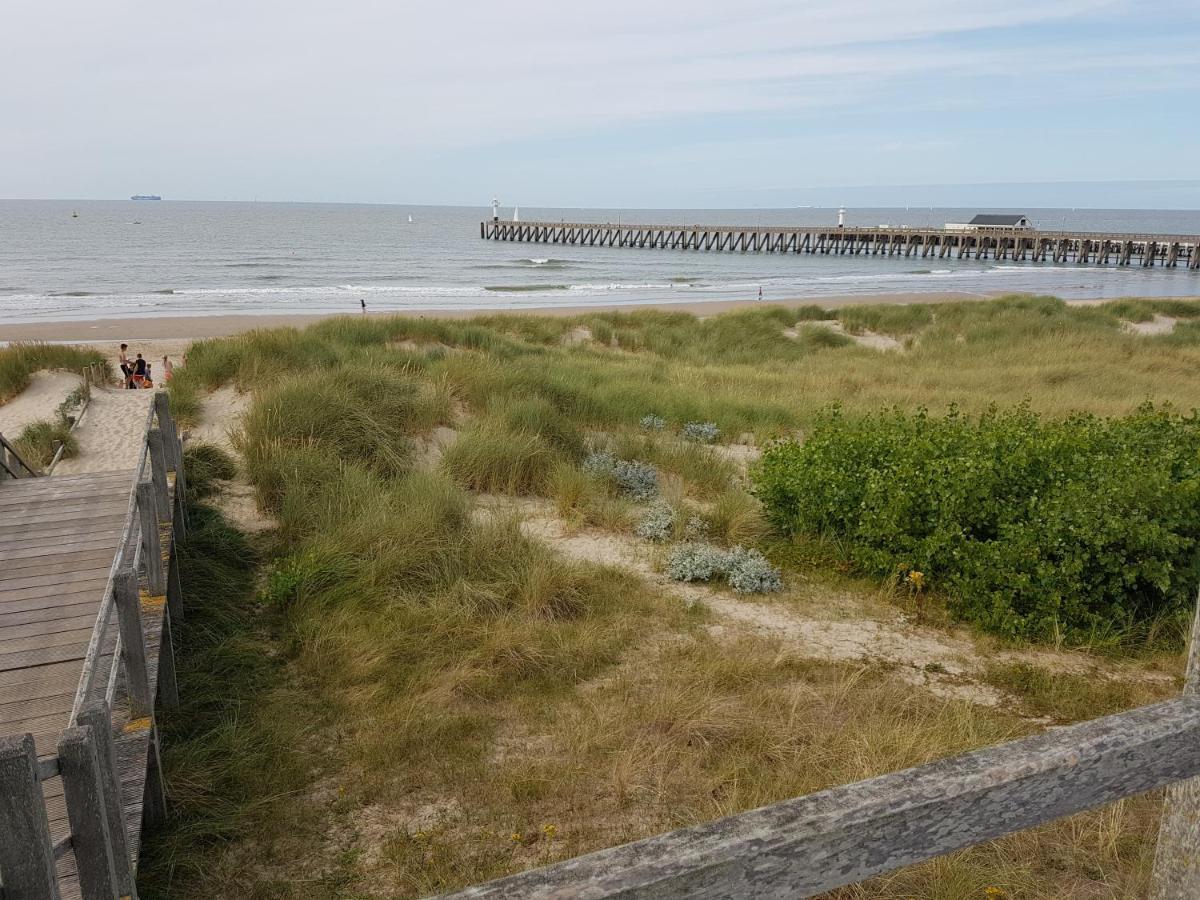 Seacottage Blankenberge - Wenduine De Haan Exterior foto